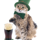 Image for article titled St. Patrick's Day Is The Worst